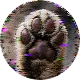 ユーザーのアイコン画像